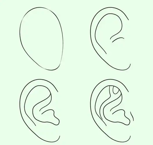 零基础怎么画"动漫耳朵"? - 简书