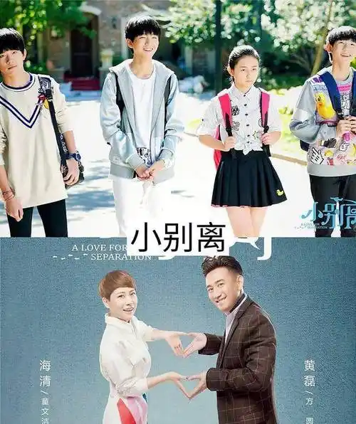 《小别离》是由汪俊执导,黄磊,海清,朱媛媛,韩青,汪俊,陈小纭,张子枫