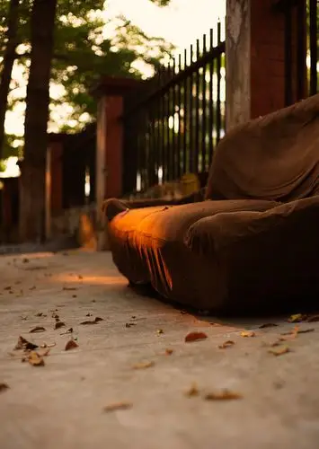 惬意沙发 - 野路超级键摄-老彭 - 图虫网 - 优质摄影师交流社区