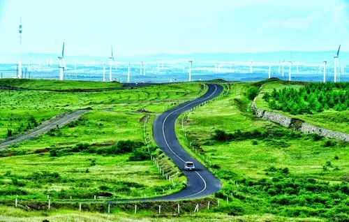 《草原天路》 雪松:摄影