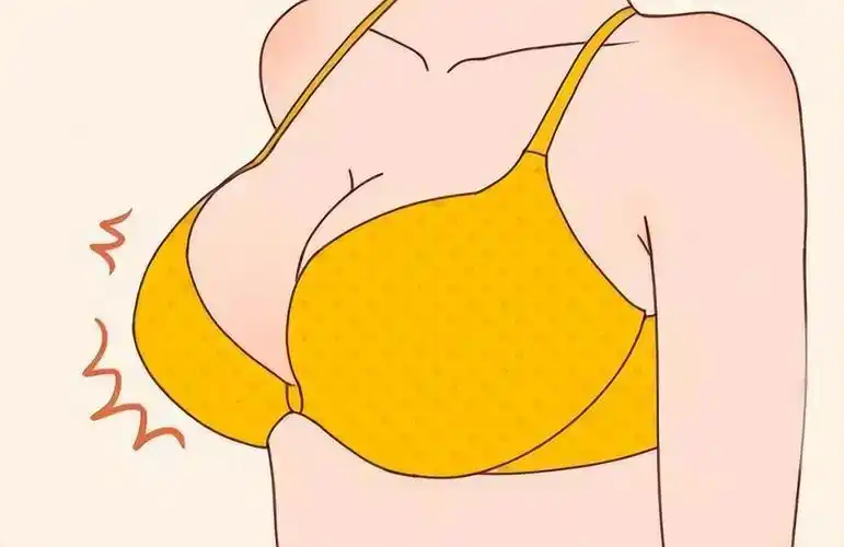 胸的大小排名(12星座胸大小排名)-我的快乐小窝