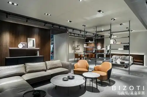 2020家居潮流趋势——风鸟·比佐迪极简主义设计风格