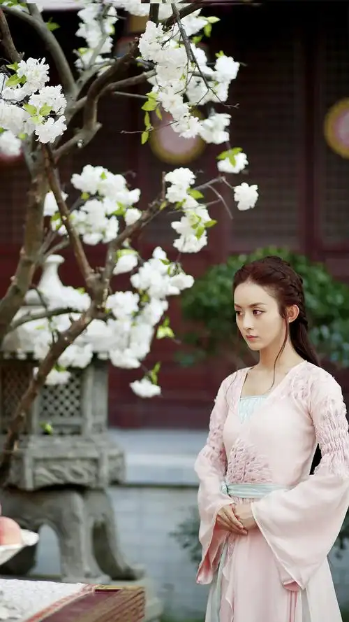 楚乔传赵丽颖 饰 楚乔