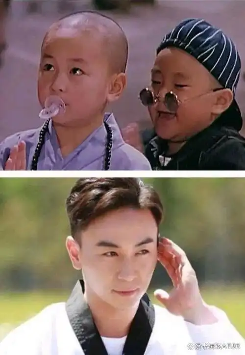 然而,随着年龄的增长,释小龙也开始尝试转型,涉足