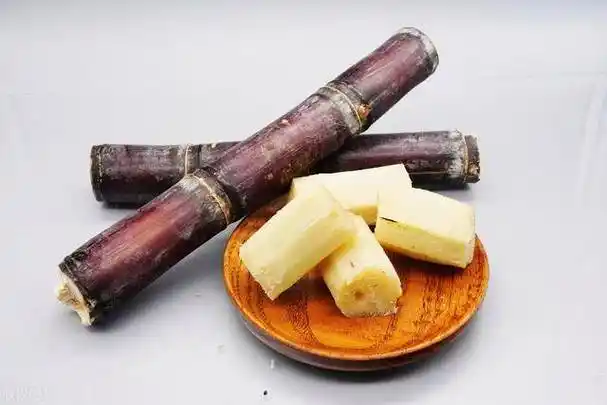 原创为什么说一根甘蔗五副药甘蔗有什么功效和禁忌一文讲清楚