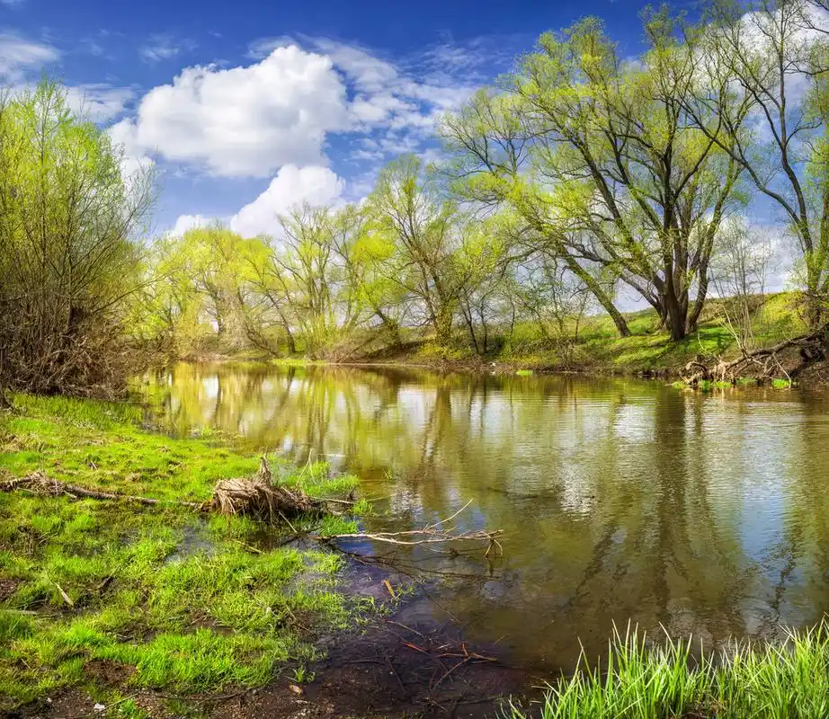 春天的图片-春天的图片大全-春天的图片素材