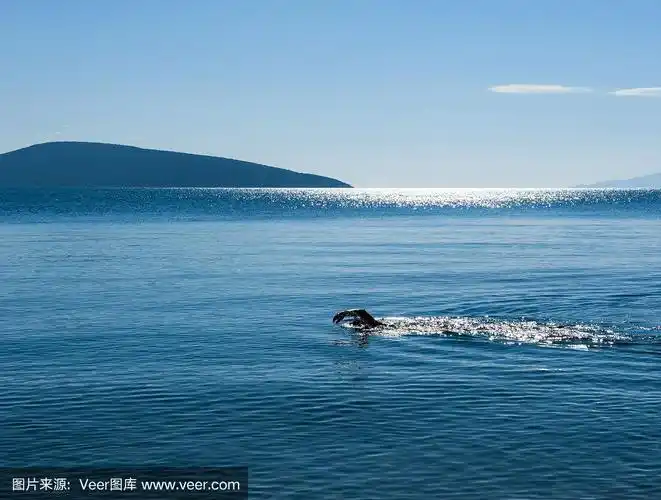 在海里游泳的人