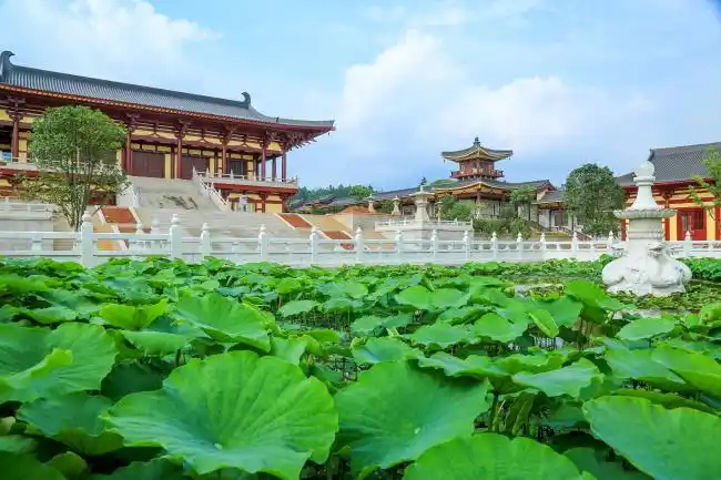 【东林大佛】2015年4—5月形象照