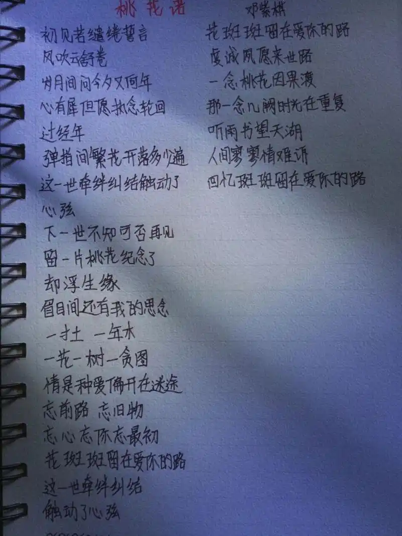 手写歌词-《桃花诺》 一寸土一年木 一花一树一贪图 情是种爱偏开在