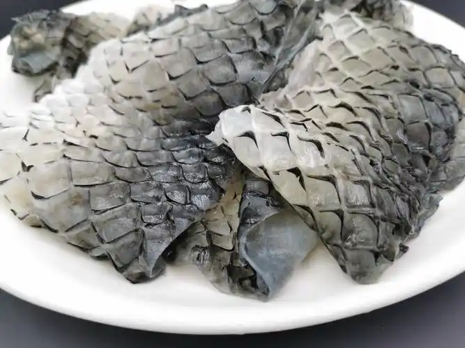 鱼皮开天新农业农业shou身鱼100g冰滑爽脆凉菜淡水鱼类