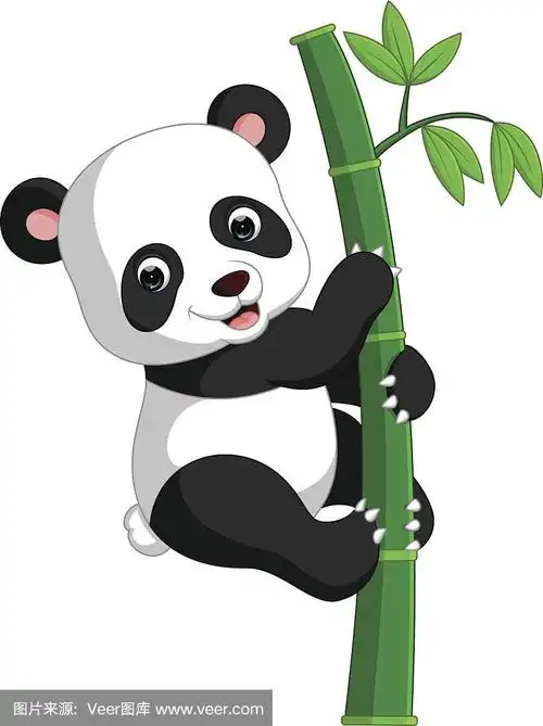 可爱的熊猫卡通