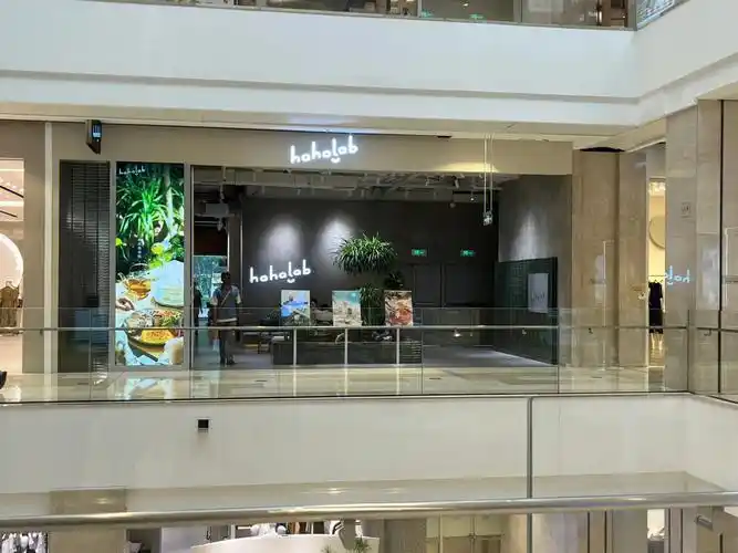 大连柏威年hahalab