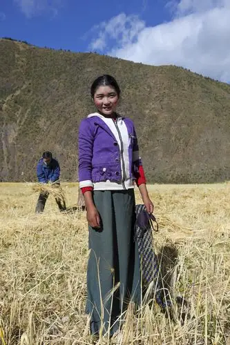 那条记忆中的景观大道