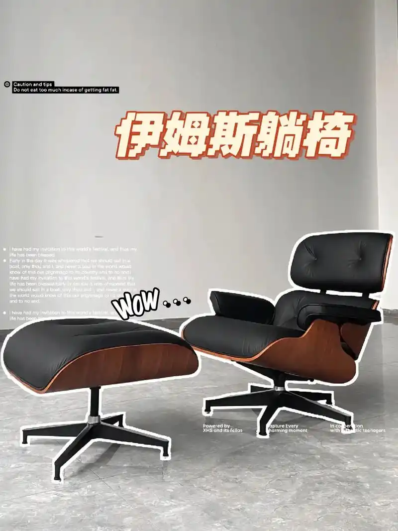 伊姆斯躺椅椅子中的爱马仕