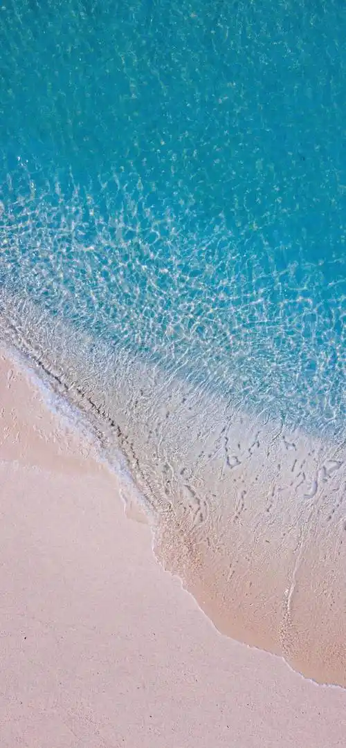 壁纸 桌面 1080_2336 竖版 竖屏 手机