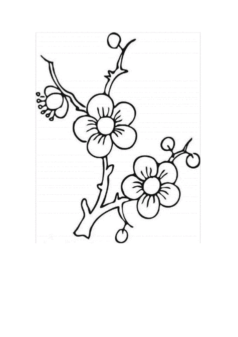 关于梅花的素描简笔画