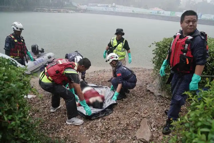 厦门一女子落水身亡,救援队冒暴雨捞尸并脱帽默哀