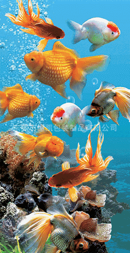 258_500竖版 竖屏gif 动态图 动图