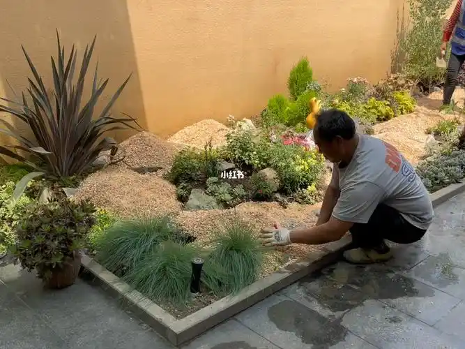 多肉景观造景-铺砂
