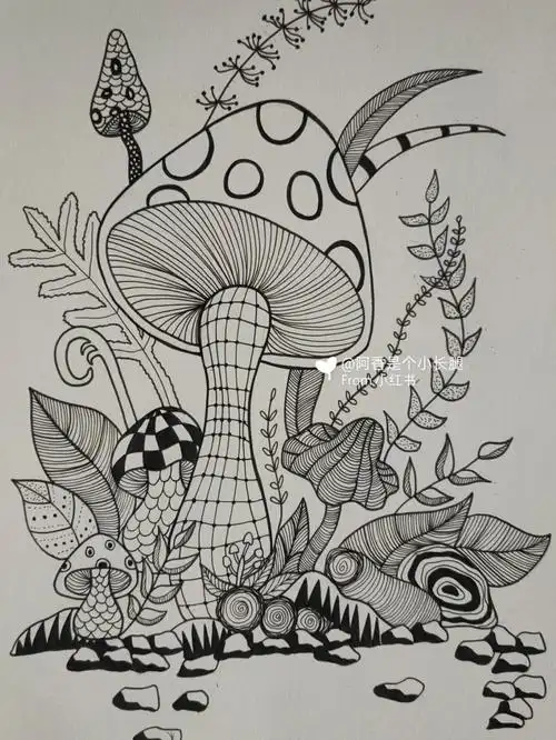 临摹线条画装饰画附带过程