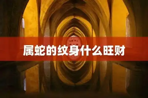 属蛇的纹身什么旺财