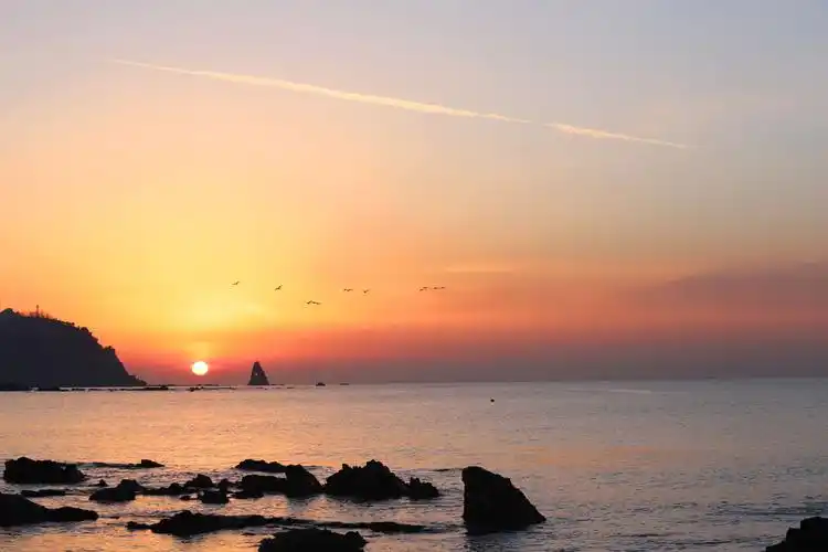 青岛是一座美丽的城市,青山绿水碧海蓝天!