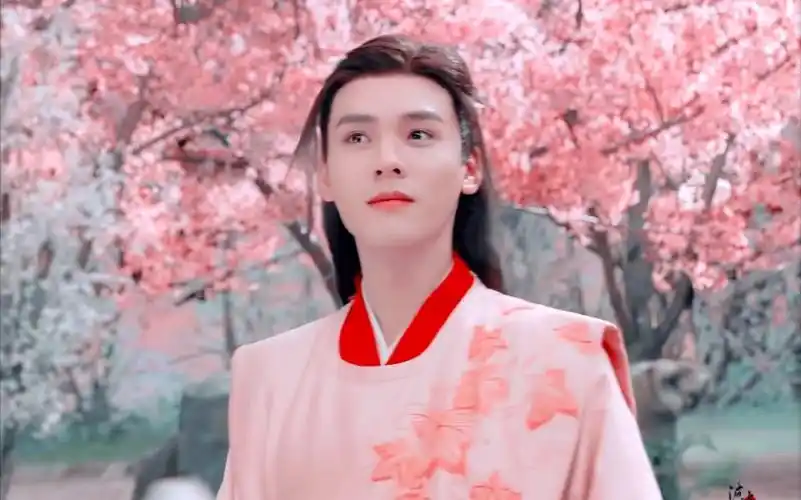 龚俊竖屏美颜盛世,粉衣温客行yyds