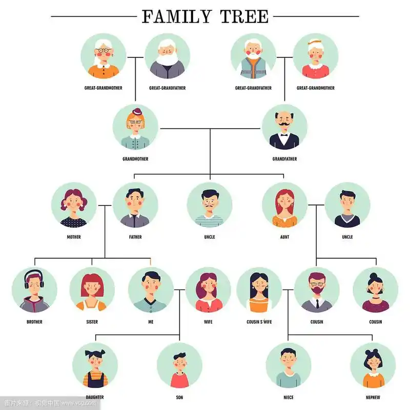 家庭树人类头像关系方案