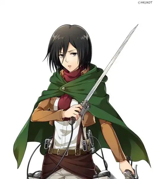 收集三笠好看的图