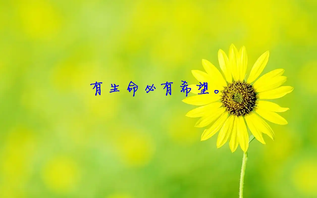 小清新奋斗风景宽屏高清桌面壁纸