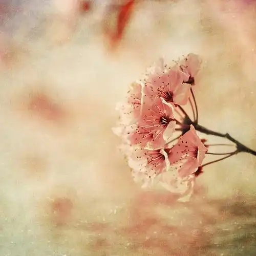 唯美小清新lomo伤感治愈系空间素材