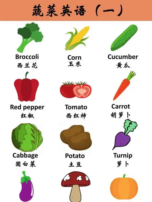 蔬菜英语,你都知道吗?