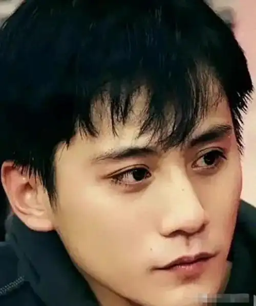 上面两个男明星如果走的是帅气风,刘烨则是"奶气风"的典型代表.