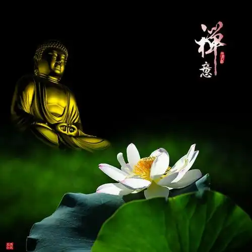 禅意莲花