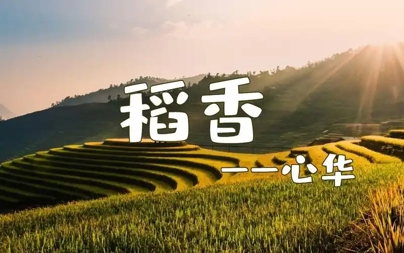 【心华】稻香(2010摩天伦版 cover:周杰伦)