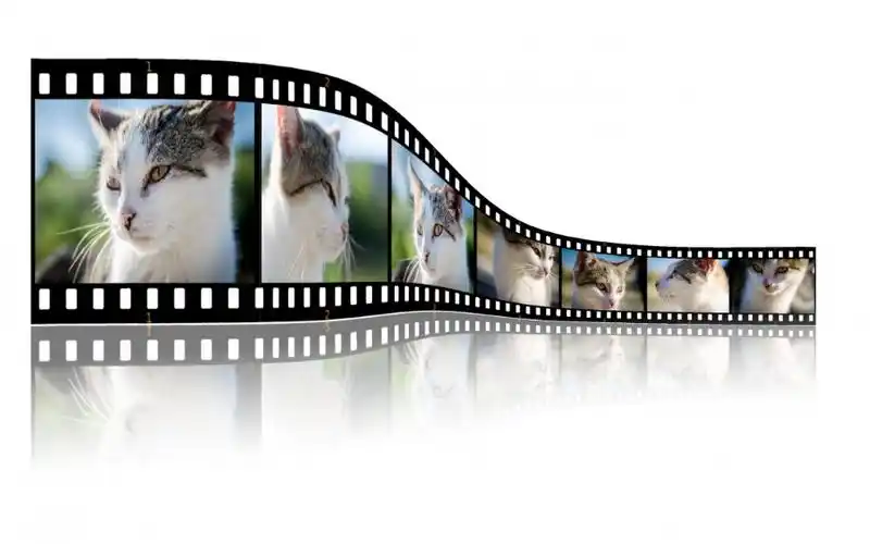 成都特效培训学校(影视后期涉及的就业方向)