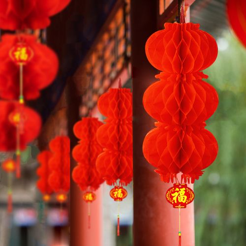小红灯笼串蜂窝红纸灯笼新年春节过年喜庆开业商场装饰品挂件挂饰