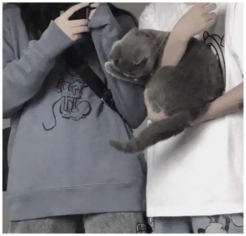 优质甜蜜情侣头像可爱到宇宙爆炸00后装嫩必备