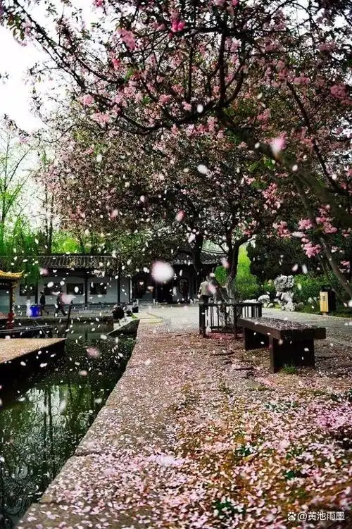 12首最美春雨古诗词哪一首淋湿了你的心