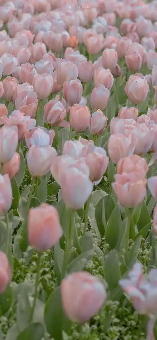 微博背景图-朋友圈背景图-微信背景图