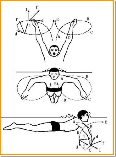 卡通简笔画蛙泳