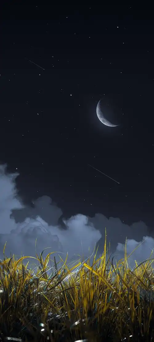 壁纸～新的锁屏壁纸 - 华为mate系列华为mate30系列 花粉俱乐部