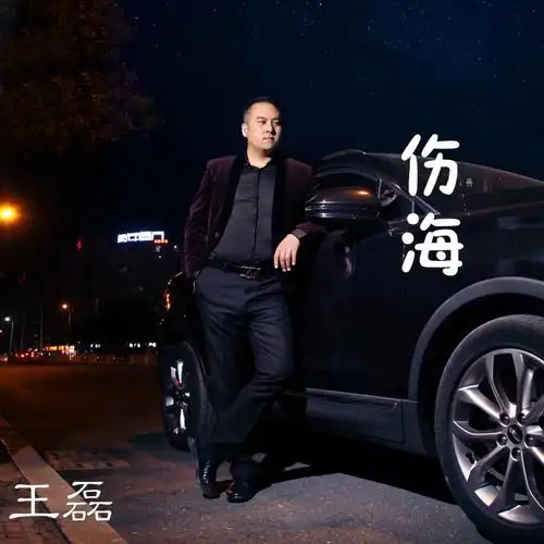 歌手:王磊 所属专辑:伤海 iphone pc android 同步歌单,随时畅听