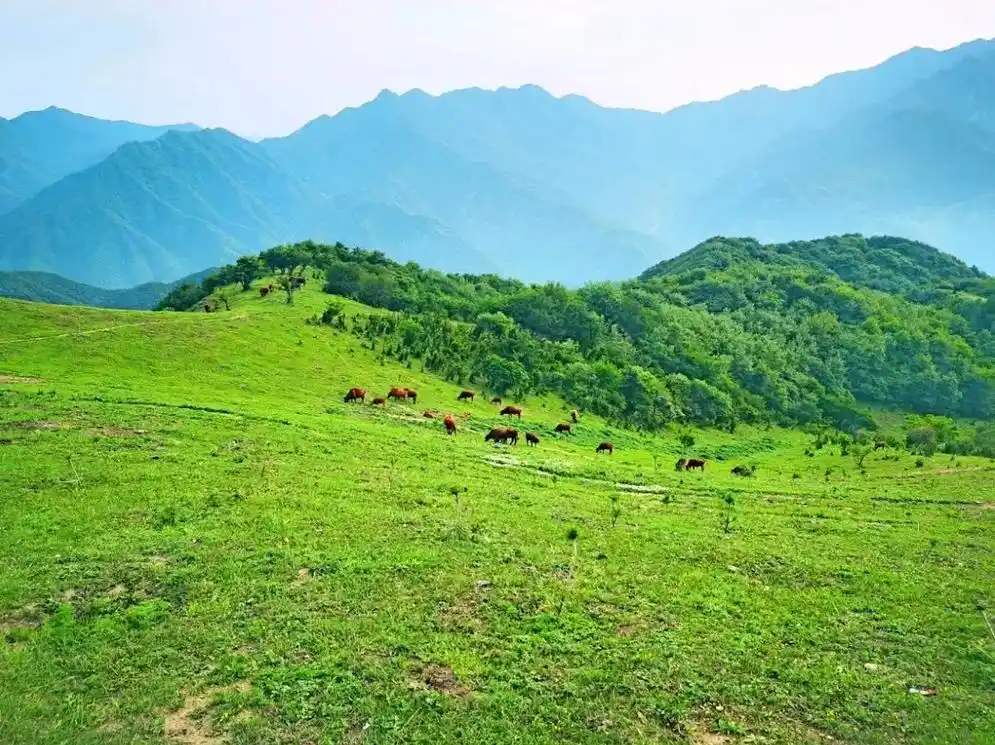 西安周边旅游攻略|蓝田流峪寺村.#创作灵感 #100个国庆必 - 抖音
