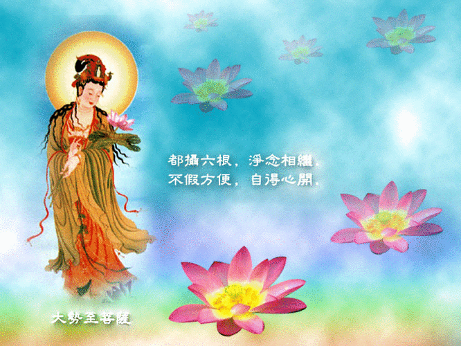 670_503gif 动态图 动图