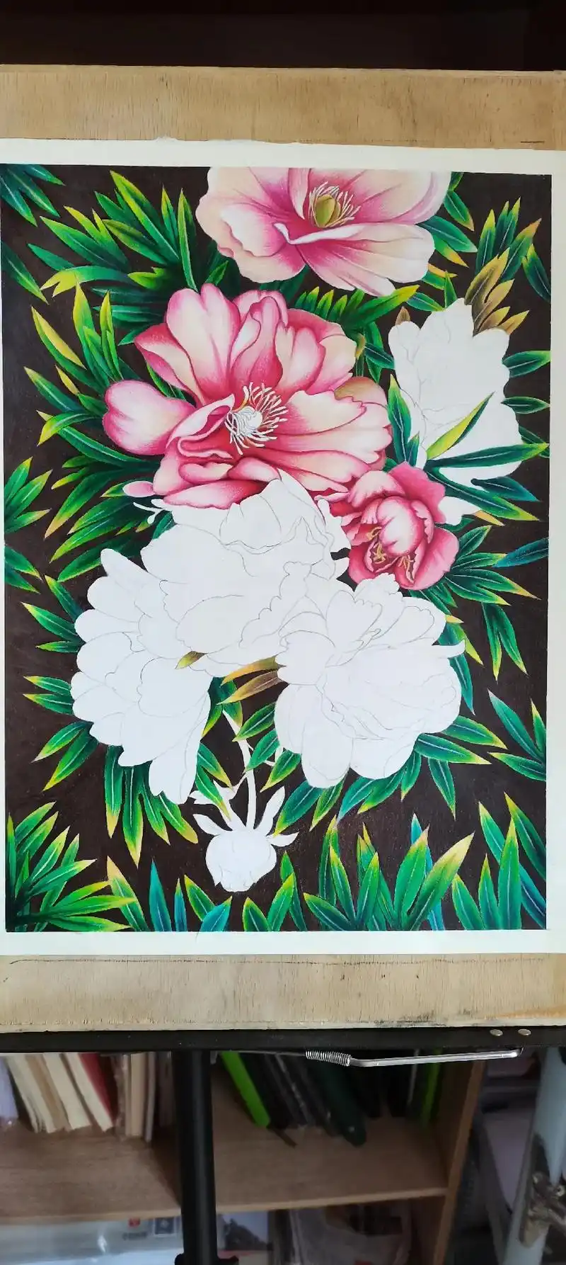 画画日常彩铅手绘