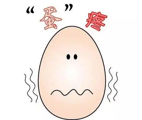 睾丸附件扭转的临床诊疗_阴囊_治疗_附睾