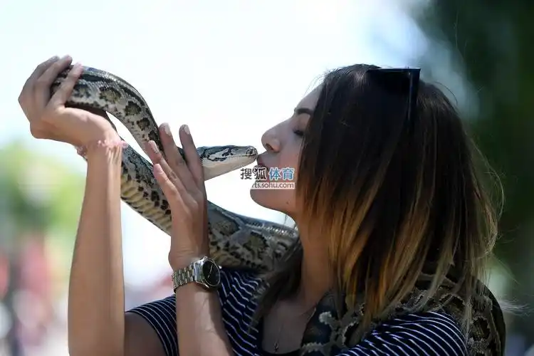 前方图:美女与蛇亲密接吻 小孩兴致大起玩足球