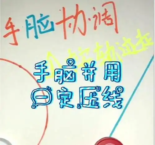 动动手,动动脑——"手脑协调"