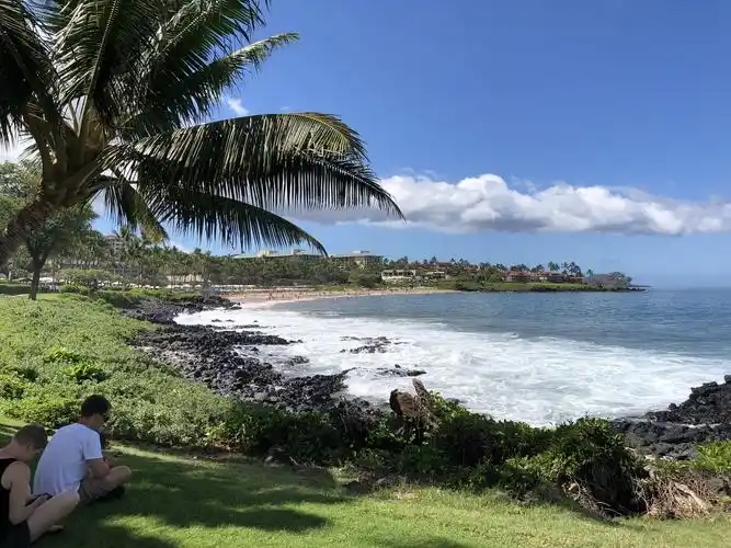 这迷人的海滩海景,我真没想到,她美丽的另一面,也是会伤人的.